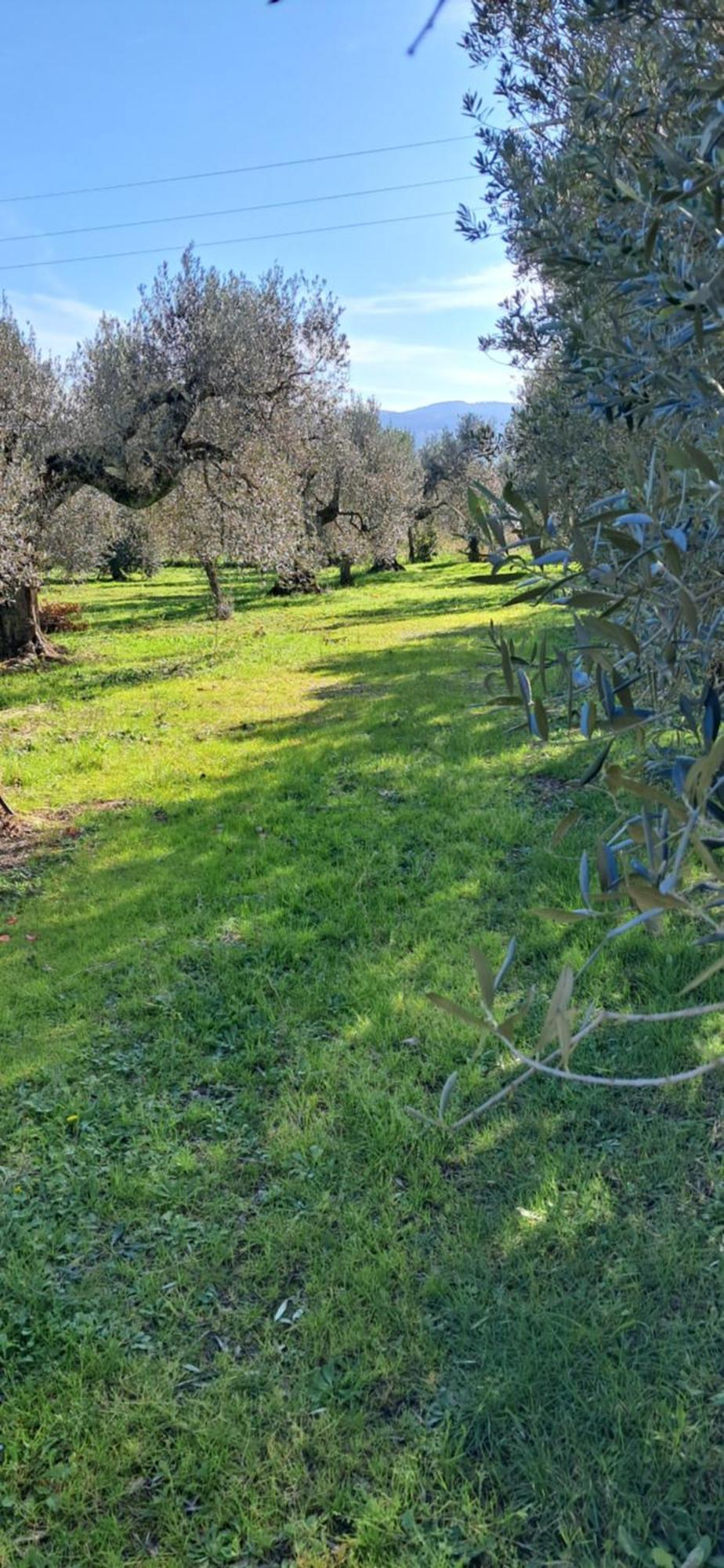 Villetta 3 Km Dal Mare Castagneto Carducci Bagian luar foto