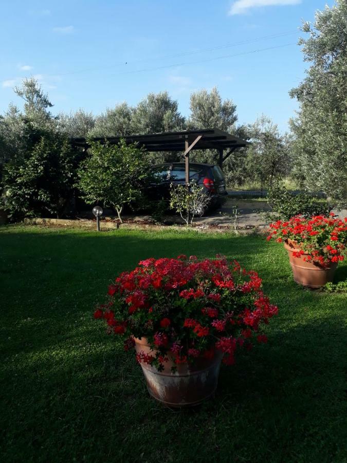 Villetta 3 Km Dal Mare Castagneto Carducci Bagian luar foto